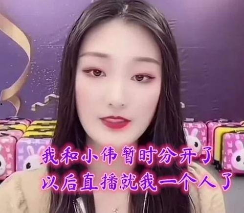 我靠吃瓜成为团宠小说娱乐圈